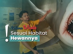 Wisata Edukasi di Animalium, Ada Replika dan Juga Satwa Sungguhan