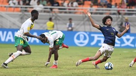 Pelatih Senegal: Stadion Piala Dunia U-17 Bagus, Orang Indonesia Ramah
