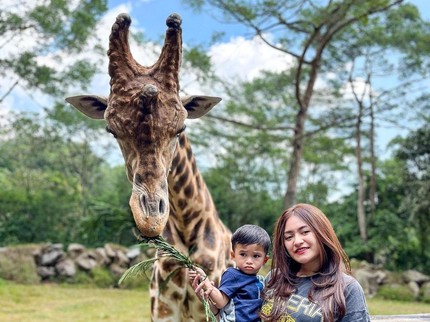 7 Potret Terbaru Adzam Putra Nathalie Holscher Main Bareng Binatang, Dipuji Pemberani