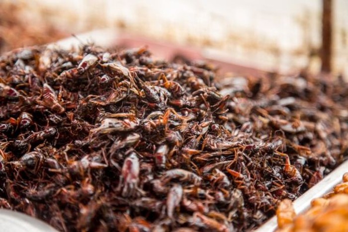 5 Kuliner Thailand yang Anti-Mainstream, Berani Coba?