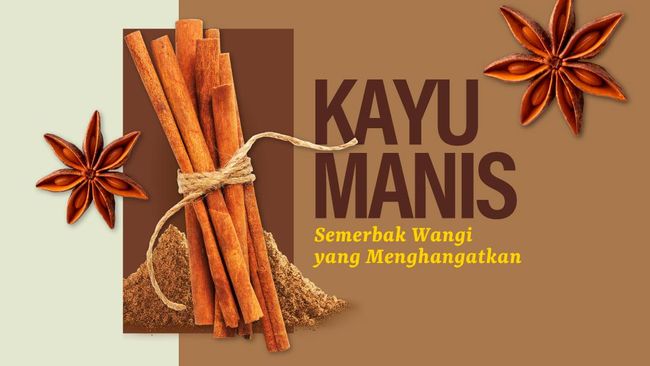 INFOGRAFIS: Semerbak Wangi Kayu Manis yang Hangat