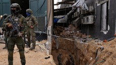 Tentara Israel Diserang Ratusan Tawon di Gaza, 12 Orang Dibawa ke RS