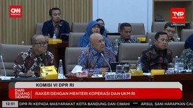 VIDEO: Menkop UKM Teten Sebut Tiktok Shop Boleh Buka Lagi Asal...