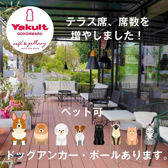 Yakult Cafe