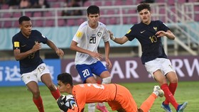 Hasil Piala Dunia U-17: Prancis ke Semifinal, Sikat Uzbekistan 1-0