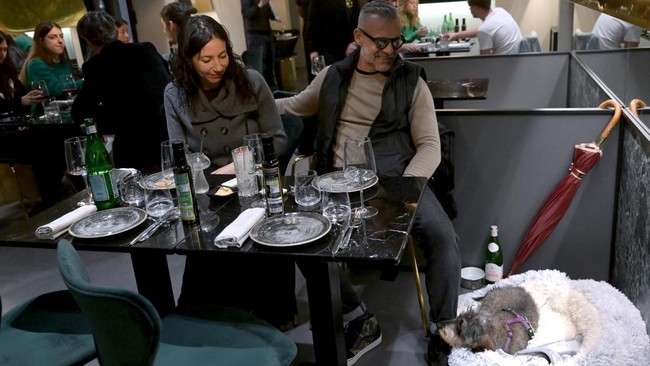 FOTO: Restoran di Italia Ini Sajikan Menu Makanan Sehat buat Anjing