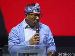 Ridwan Kamil Sebut di IKN Orang Bisa Kerja di Atas Pohon