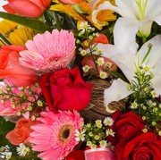 Selain Cantik, 5 Bunga Ini Bisa Dimakan dan Baik untuk Kesehatan