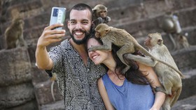 FOTO: Perayaan Festival Monyet di Thailand