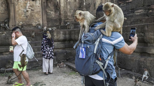 FOTO: Perayaan Festival Monyet di Thailand