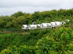 8 Tempat Glamping Jogja Cocok untuk Liburan Akhir Tahun
