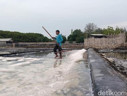 Target Produksi Garam Probolinggo Optimis Tercapai Terbantu Kemarau Panjang