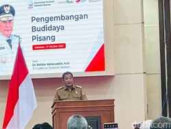 Kota Makassar Ditunjuk Jadi Tuan Rumah Festival Pisang Nusantara 2024