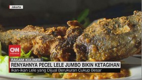 VIDEO: Sajian Ikan Lele Lezat yang Memikat