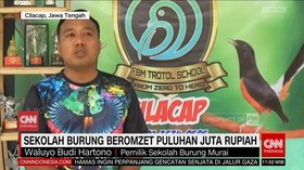 VIDEO: Sekolah Burung Beromzet Puluhan Juta Rupiah