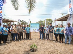 Warga Salor Indah di Merauke Dapat Bantuan Bibit Kelengkeng dari BRI