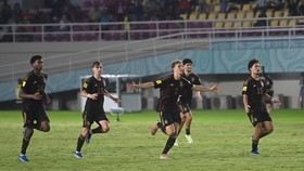 Jadwal Siaran Langsung Jerman vs Prancis di Final Piala Dunia U-17