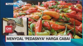 VIDEO: Menyoal 'Pedasnya' Harga Cabai