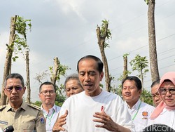 Jokowi Ogah Tanggapi Megawati soal Baru Berkuasa Mau Seperti Orba