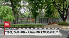 VIDEO: Tebet, Dari Hutan Rawa Jadi Kawasan Elit