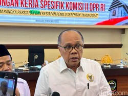 Junimart Girsang Respons Isu Jadi Dubes untuk Italia: Sudah Dapat Surpres