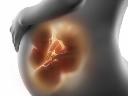 Kisah Bunda Melahirkan Bayi Kembar Identik Langka, Salah Satu Selamatkan Saudaranya