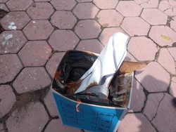 Bunga Kantil yang Teror Kantor Desa di Sragen Dibacakan Ayat Kursi-Dibakar
