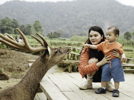 10 Kebun Binatang di Bandung & Harga Tiketnya, Pas untuk Ajak Anak Liburan