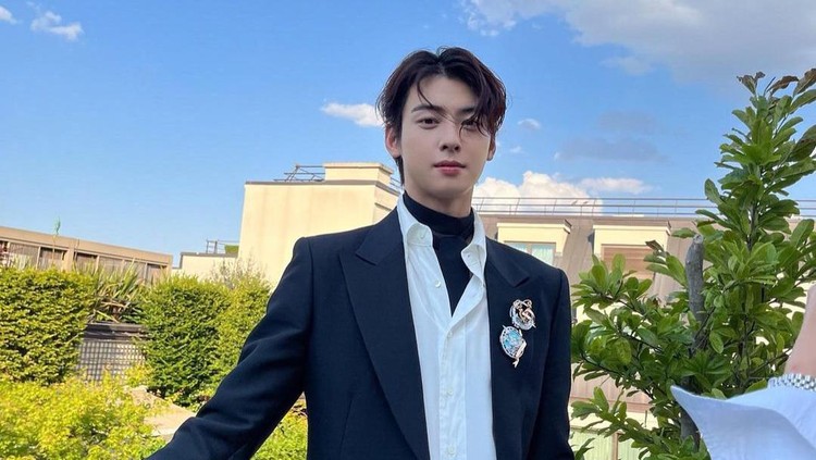 Cha Eun Woo