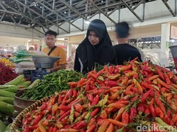 Makin Mahal! Harga Cabai Rawit di Paluta Meroket Tembus Rp 60 Ribu per Kg