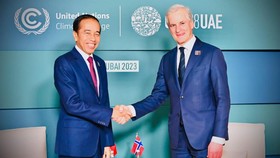 Bertemu PM Norwegia, Jokowi Bahas Investasi IKN hingga Kondisi di Gaza