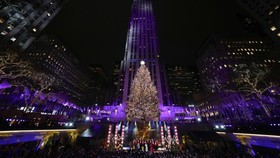 FOTO: Pohon Natal Ikonik di New York Mulai Bersinar