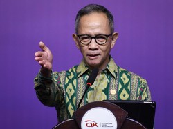 Bos OJK Beri Wanti-wanti ke Danantara, Bilang Begini