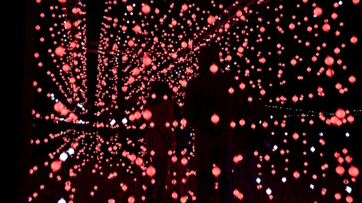 FOTO: Terpukau Pendar Warna-warni Cahaya di Taman Monza Italia