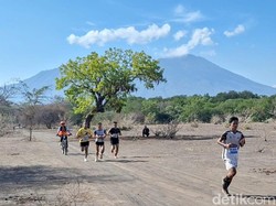 Situbondo Kenalkan TN Baluran Africa van Java pada Dunia Lewat Lomba Lari