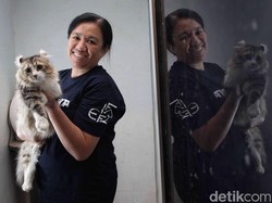 Ikut Kontes Kucing Sampai ke Eropa