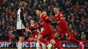 5 Fakta Jelang Duel Liverpool vs Fulham di Piala Liga Inggris