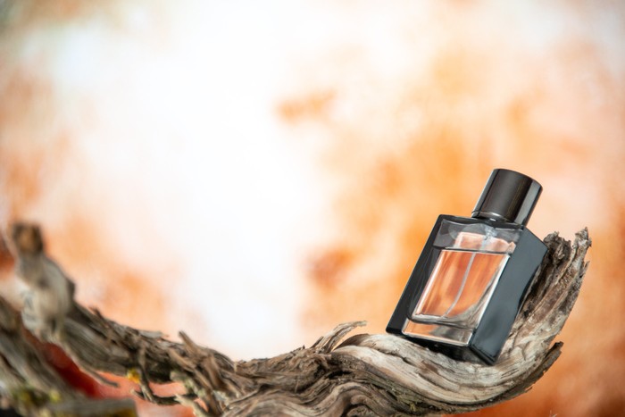 Tips Memilih Parfum untuk Musim Hujan, Segar dan Wangi!