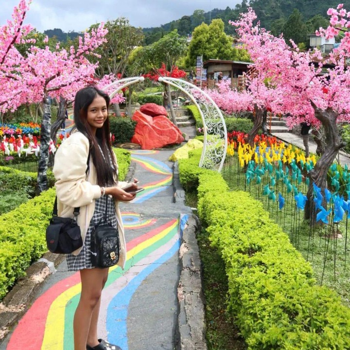 <p>Dalam akun Twitter tersebut juga tertulis kalimat resolusi Vanesya, "Saya selalu penuh percaya diri dan yakin bahwa saya akan debut di Universe Ticket." (Foto: Instagram @vanesya.vi)</p>