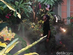 Ngalam Mbois: Herry Rasio Seniman Aquascape yang Mendunia