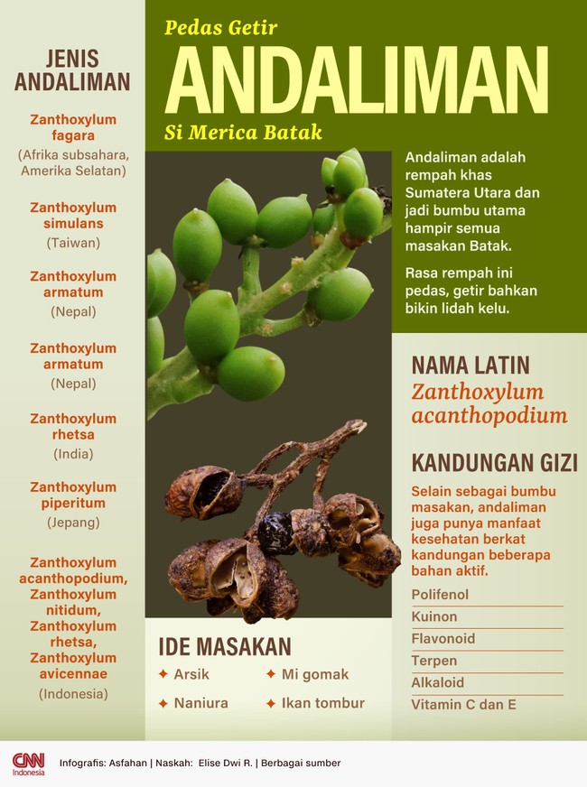 Andaliman adalah rempah khas Sumatera Utara dan jadi bumbu utama hampir semua masakan Batak.