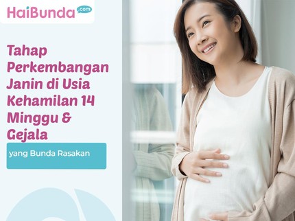 Tahap Perkembangan Janin di Usia Kehamilan 14 Minggu & Gejala yang Bunda Rasakan