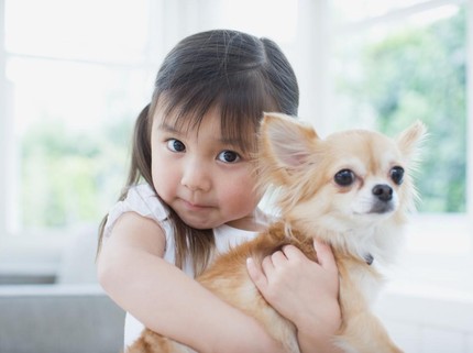 6 Aturan untuk Anak yang Ingin Pelihara Hewan di Rumah, Ingatkan soal Tanggung Jawab