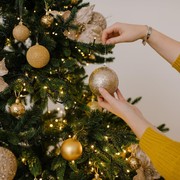 Jelang Hari Natal, Ini 5 Fakta Unik tentang Pohon Natal yang Mungkin Belum Kamu Tahu