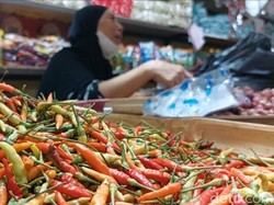 Harga Cabai di Lamongan Kian Melonjak Jelang Nataru