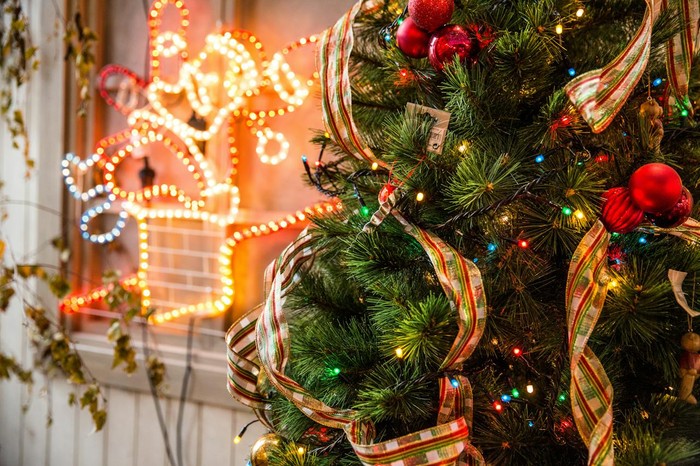 Fakta Unik Pohon Natal yang Belum Kamu Tahu