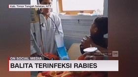 VIDEO: Waspada Rabies, Balita Terinfeksi Rabies