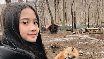 Detik Network