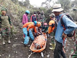 Ombudsman Duga Ada Kelalaian SOP Pembukaan Pendakian Gunung Marapi