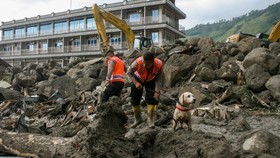 Penyelam-Anjing Pelacak Cari 10 Korban Banjir Bandang Humbahas Sumut